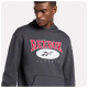 Reebok Ανδρικό φούτερ Classic Archive Essentials Hoodie